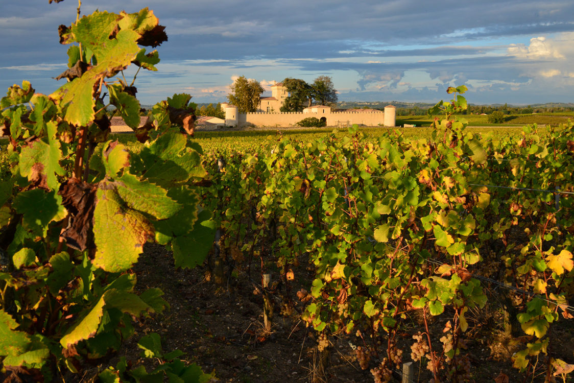 Sauternes Out Of The Crisis 