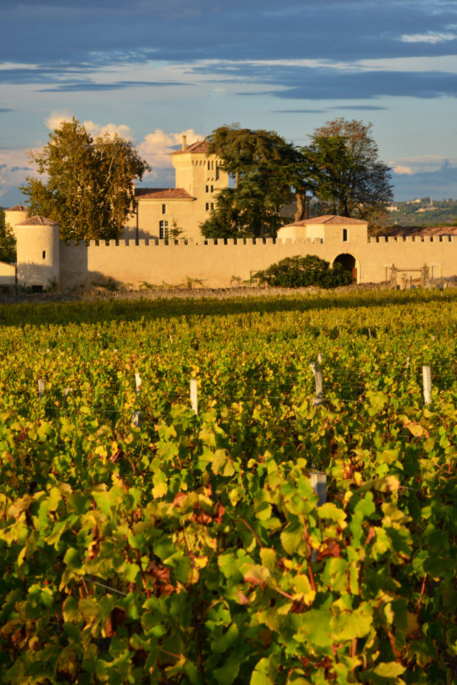 Sauternes out of the crisis | Antoine Lorgnier - Photographs