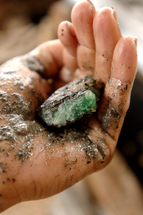 Jules Sauer, le roi de l’émeraude brésilienne