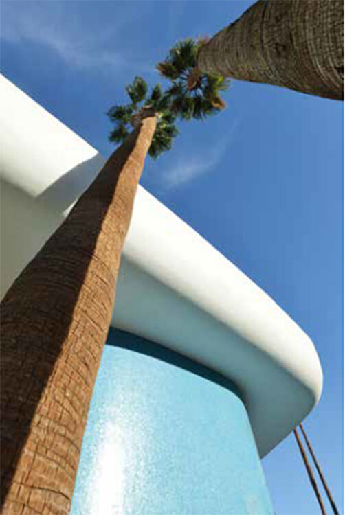 Palm Springs, j’irai dormi chez les stars